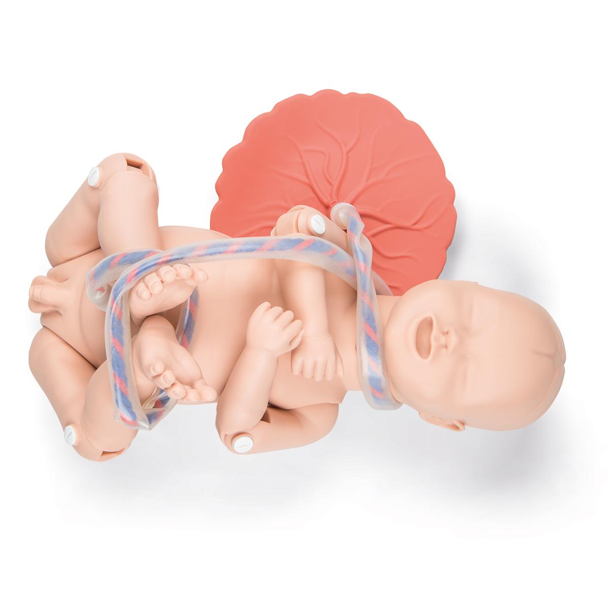 Difficult Labour Demonstration Simulator Dystocia Fetus Baby Doll Pregnant  Childbirth Manikin - AliExpress